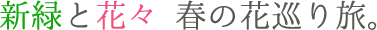 11月
